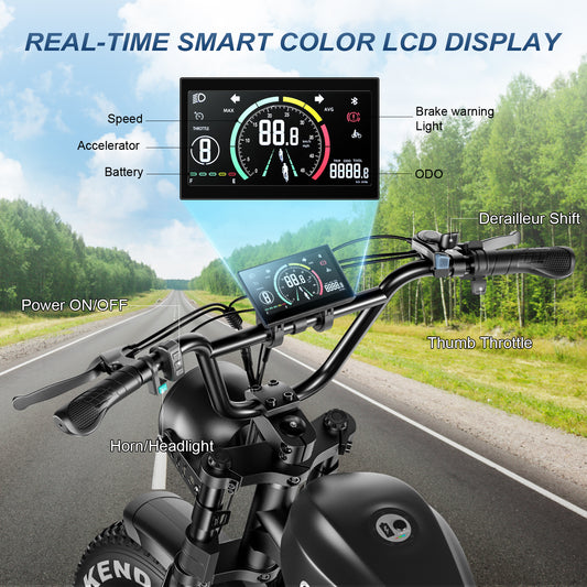 C93: Potenza fuoristrada 1000W