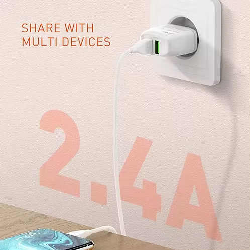 LDNIO A2219 Caricatore da Muro USB Doppia Porta 12W 2,4A con Cavo USB-C da 1 m