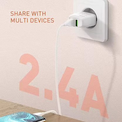 LDNIO A2219 Caricatore da Muro USB Doppia Porta 12W 2,4A con Cavo USB-C da 1 m