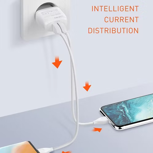 LDNIO A2219 Caricatore da Muro USB Doppia Porta 12W 2,4A con Cavo USB-C da 1 m