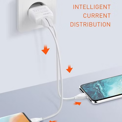 LDNIO A2219 Caricatore da Muro USB Doppia Porta 12W 2,4A con Cavo USB-C da 1 m